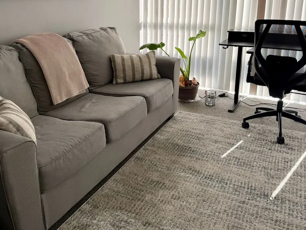Anaheim Hills office therapy room: a grey sofa with a blanket and cushions, a plant, and a window with blinds.